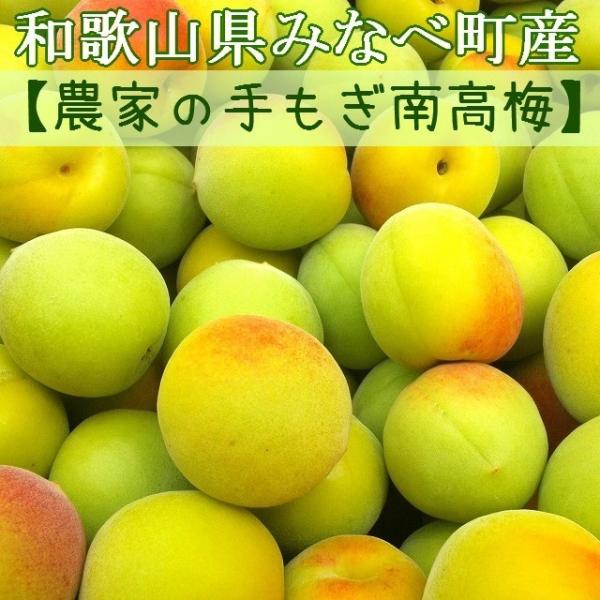 南高梅　低農薬　7キロ箱入　神奈川県中井町産　レモン5こ入り 南高梅 低農薬 7キロ箱入 神奈川県中井町産 レモン5こ入り 南高