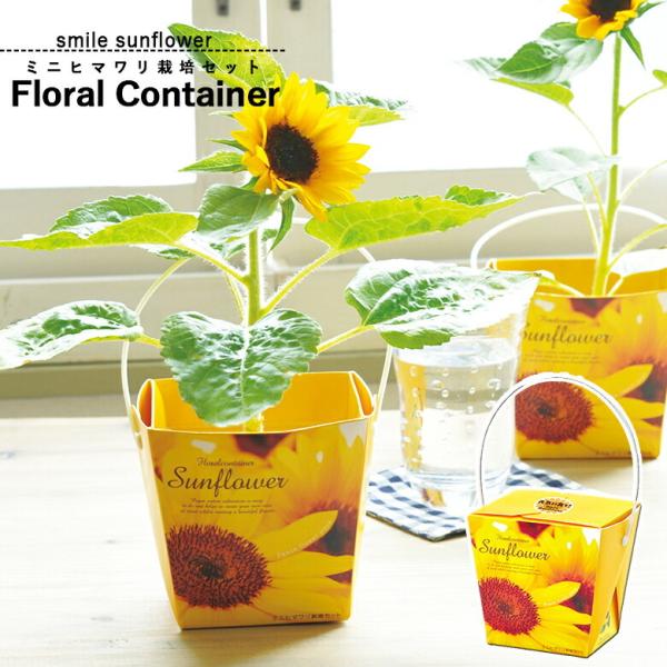 ͔|Zbg ͔|Lbg V| GD-434 X}C Tt[ t[Rei ~jq} v[g 