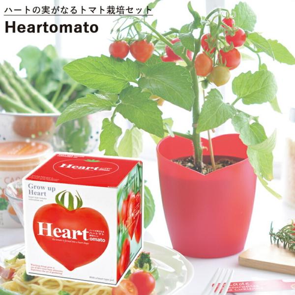 栽培セット 栽培キット 家庭菜園 GD-546 ハートマト栽培セット