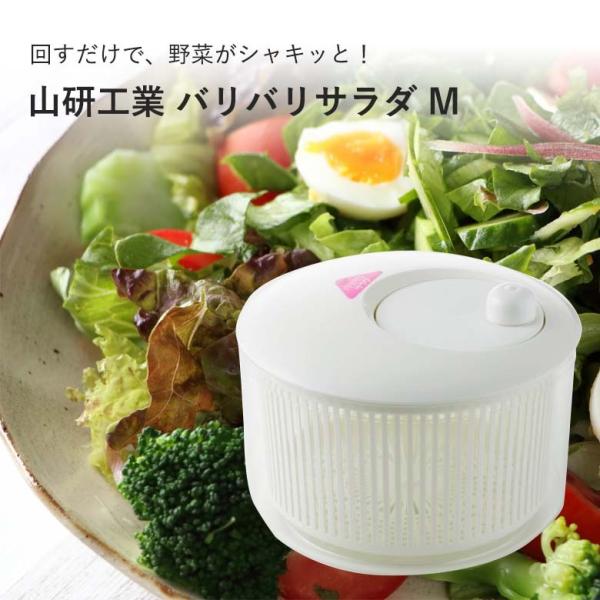 Mtg { T_Xsi[  ؂ T_ {E MTCY ooT_ ֗ObY Lb` RH v[g 