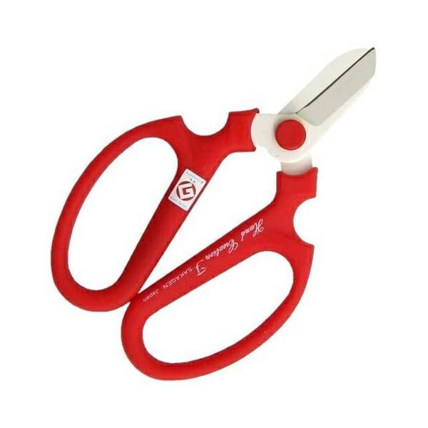 Mtg ⌹ nhNG[V F170 pbh  v[g 