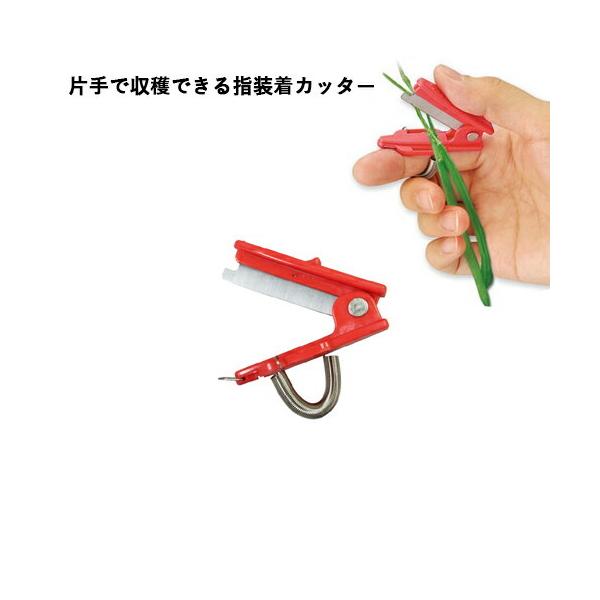 Mtg ⌹ ntN[() 䎆t v[g 