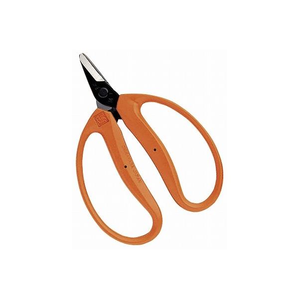 ߐ/`J}T ݂ 咼 M-100 BP v[g 