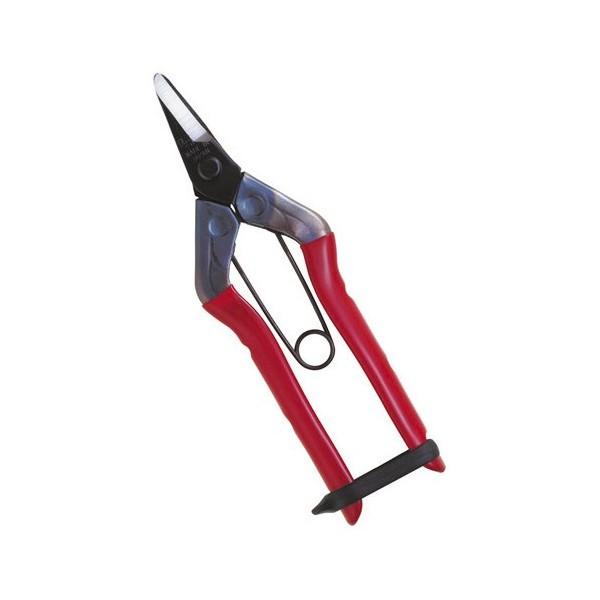 CHIKAMASA（近正） 近正/チカマサ 採果鋏 S-200 BP プレゼント