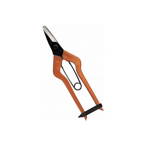 ߐ/`J}T ̉  S-600 BP v[g 