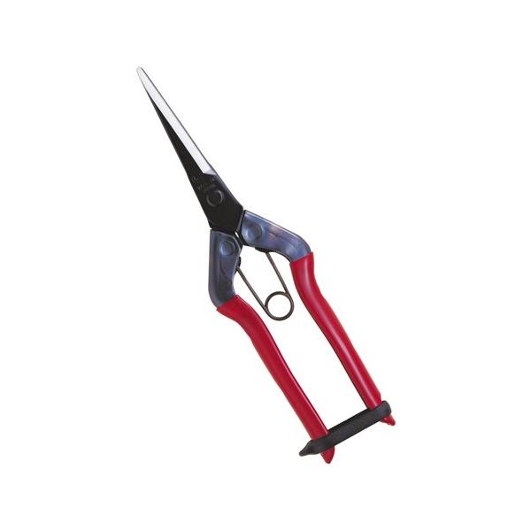 ߐ/`J}T O T-570 BP v[g 