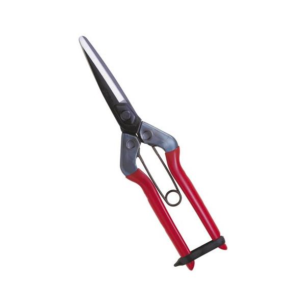 ߐ/`J}T  T-700 BP v[g 