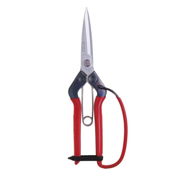 ߐ/`J}T tK[ht T-710GDX v[g 