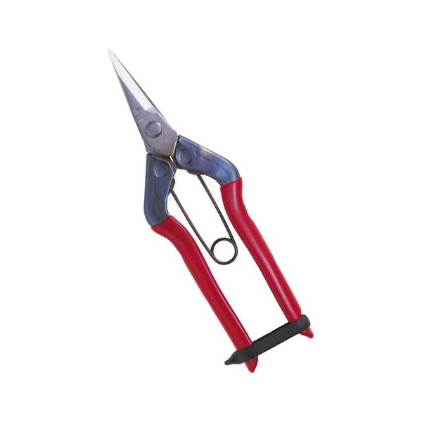 ߐ/`J}T XeXE T-500S BP v[g 