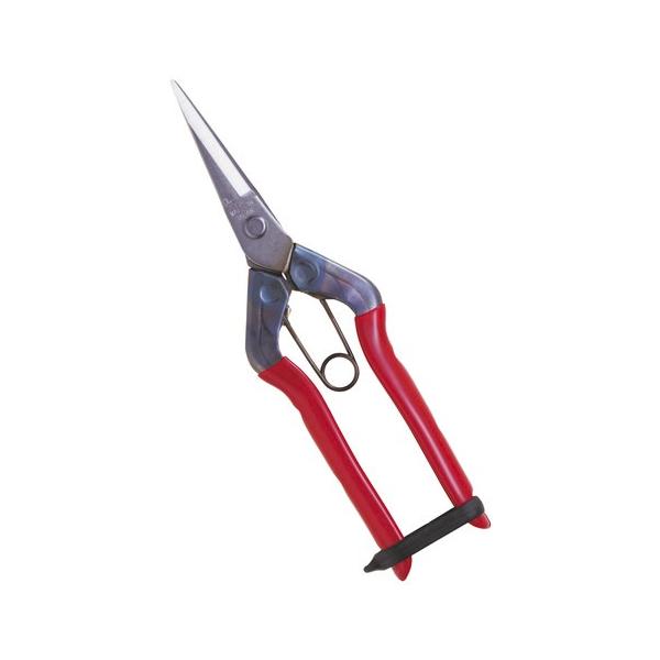 ߐ/`J}T XeX T-550S BP v[g 