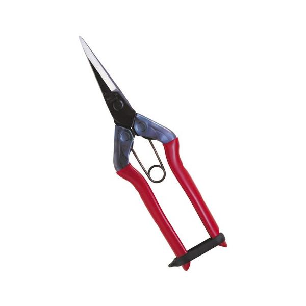 ߐ/`J}T E n T-550 (ܓ) v[g 