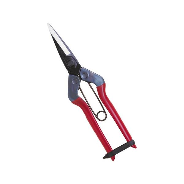 ߐ/`J}T T-600 ؉ 뒼n (ܓ) v[g 