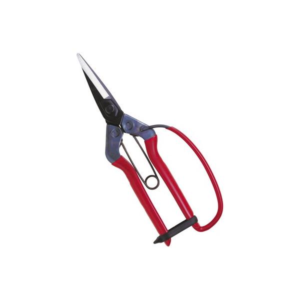 ߐ `J}T T-600G ؉ 뒼nK[ht (ܓ) v[g 