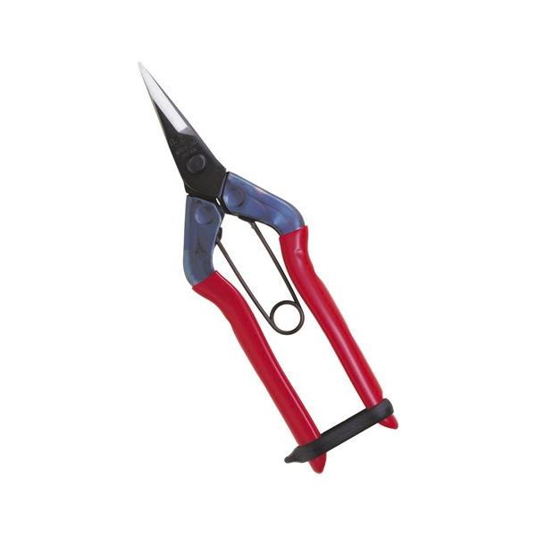 ߐ/`J}T T-501E 뒼n () v[g 