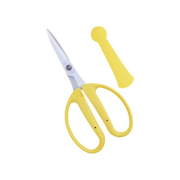 ߐ/`J}T CRI-360SF t[Xg AW CG[ v[g 