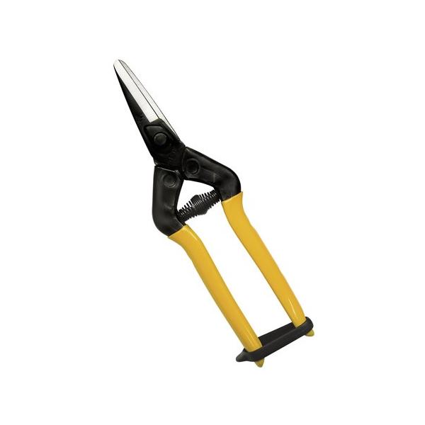 ߐ/`J}T t@Ntg\ FE-6C v[g 