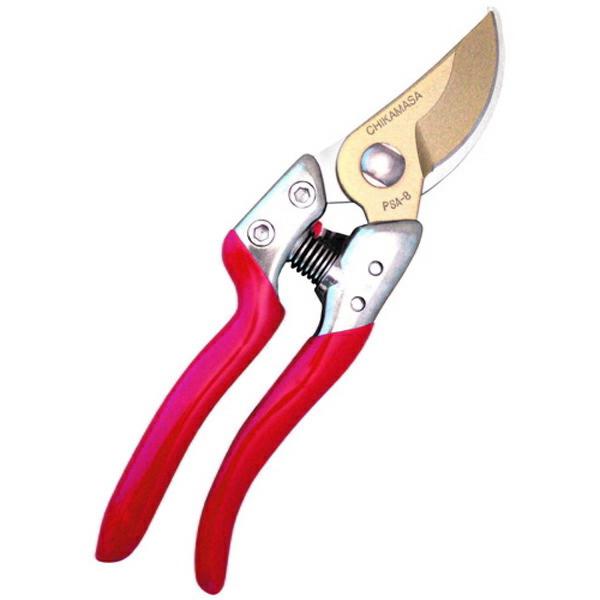 ߐ `J}T PSA-G8 EgG8  v[g 