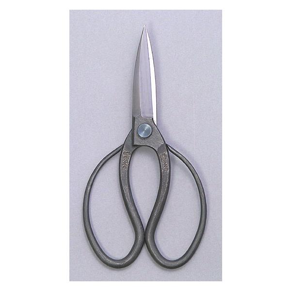 sakai-fukui_4980172000052