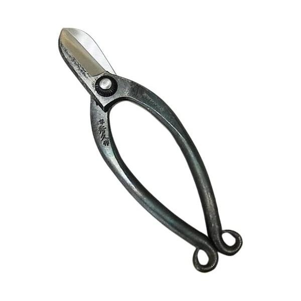 sakai-fukui_4980172000083