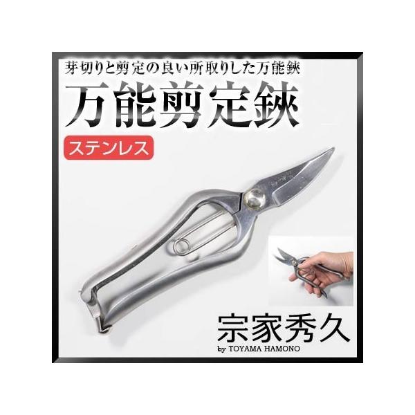 ORn @ƏGv NO.519 XeX\ v[g 