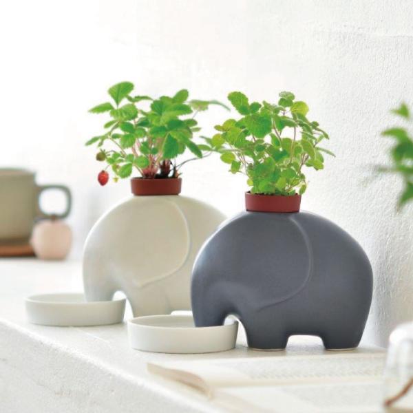 栽培キット 栽培セット 象 かわいい おしゃれ ミント ストロベリー 苺