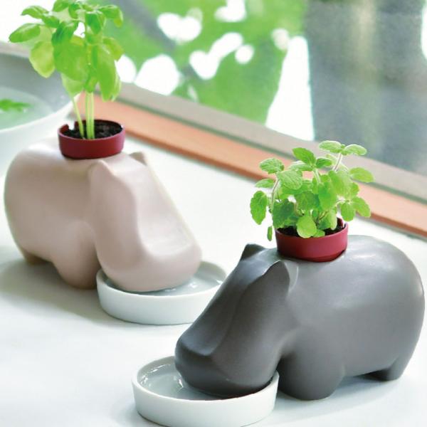 栽培セット 栽培キット かば カバ プレゼント ギフト ミント バジル かわいい