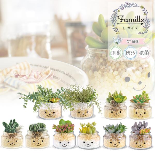 LV} t@~[ LA[eBtBVO[ LTCY (  炬  ΐl^) FAMILLE ARTIFICIAL GREEN tFCNO[ v[g