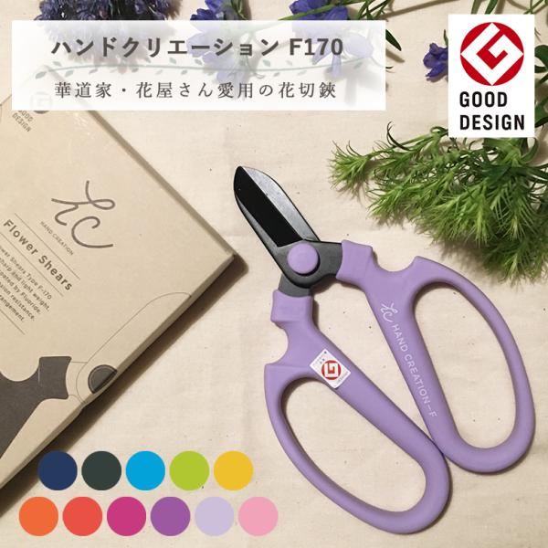 Mtg ⌹ nhNG[V F170 n ntbfH ϔ ObhfUC܎ v[g 