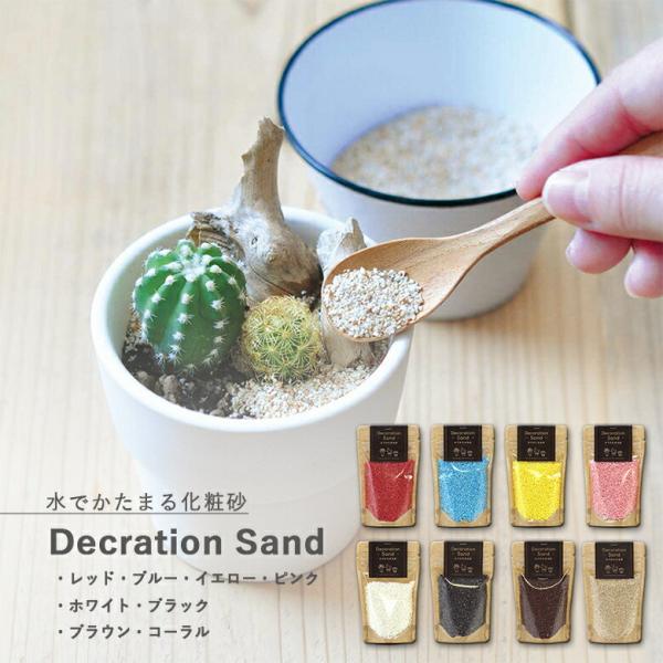 ƒ؉ GD-822 fR[VTh 8ނ̃J[Iׂ܂ V| v[g 