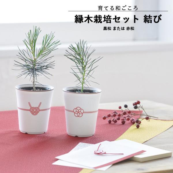 ͔|Zbg ~ ͔|Lbg V| GD-888 ؍͔|Zbg    ԏ v[g 