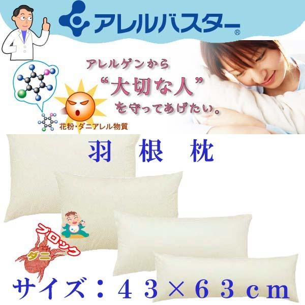 AoX^[ xh_j k[hH SR×UR  x _jh~ k[hH܂