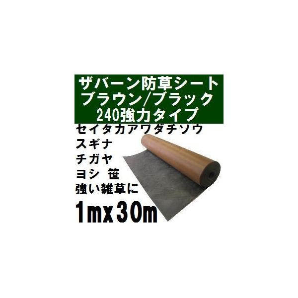 vebNXhV[g240 1mx30m uEubN() Uo[240BB 1x30my2021N10/30ls ꗣʓrρzysz