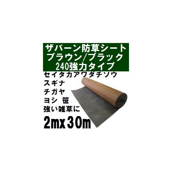 vebNXhV[g240 2mx30m uEubN() Uo[240BB 2x30my2021N10/30ls ꗣʓrρzysz