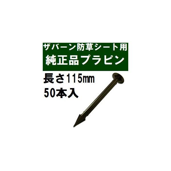 Uo[hV[gp EDG-PP50 i vs 115mm 50{  (vX`bNs ubN)