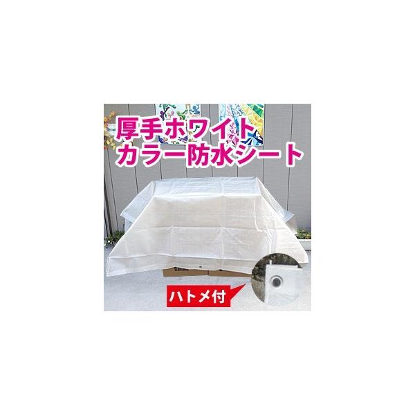 yTCYAޖLxzzCgJ[hV[g3.5x5.3m(2x3) (#3000u[V[g̃i`J[)F