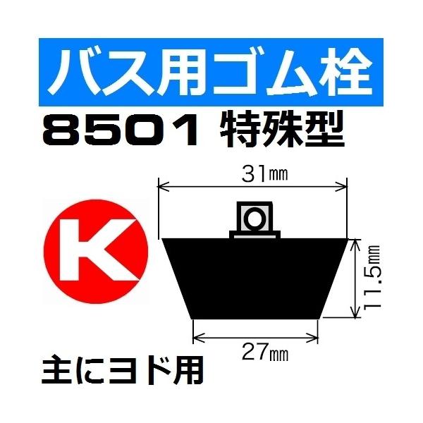 8501 ^ NTtS ɃhjbgoXp