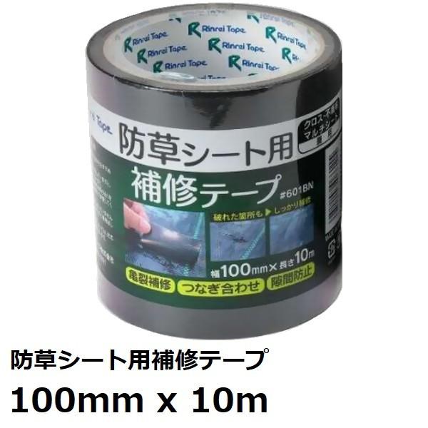 Ce[v #601BN hV[gpCe[v 100x10m 