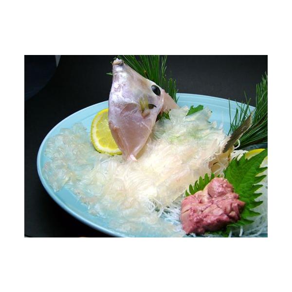 旬です 肝が太ったカワハギ トラフグにも負けない美味しさです 活カワハギお造り用 Kawahagi 01 伊勢志摩魚屋 山藤 やまとう 通販 Yahoo ショッピング