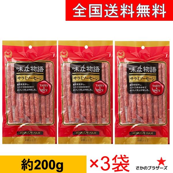 味な物語 サラミソーセージ　200g おつまみ　3袋セット　サラミ 宮内ハム