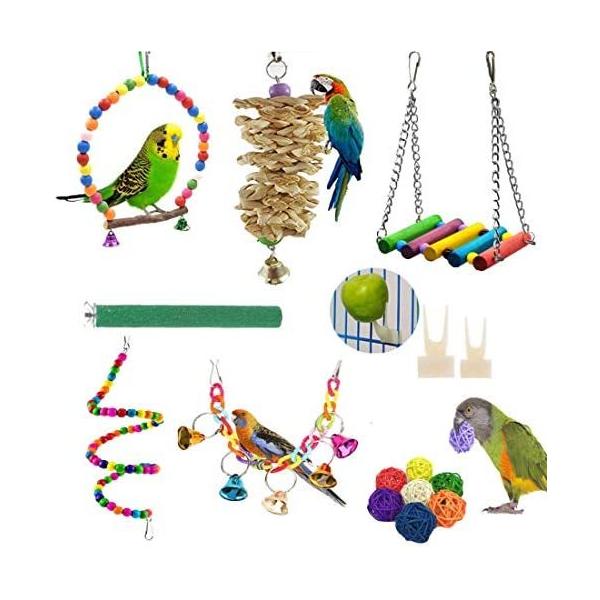 全てのアイテム Suitable Toys Cage Birds Bell Hanging Toys Chewing Swing Parrot Bird Small Packs 15 Slo 海外正規品並行輸入品アメリカ直輸入送料無料 For Conures Finches Bu Cockatiel Parakeets Small 鳥用品 Marinemammalobservertraining Com