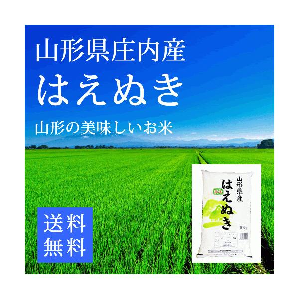 ͂ʂ R`Y ĂPOg (5kg×2)  ߘa7NYV  R