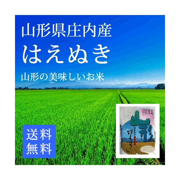 はえぬき 山形県庄内産  精米2ｋg 令和7年産 お米 コメ