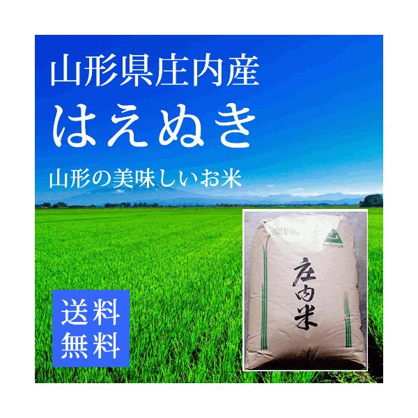 ͂ʂ R`Y 24kg 1 ߘa7NYV  R