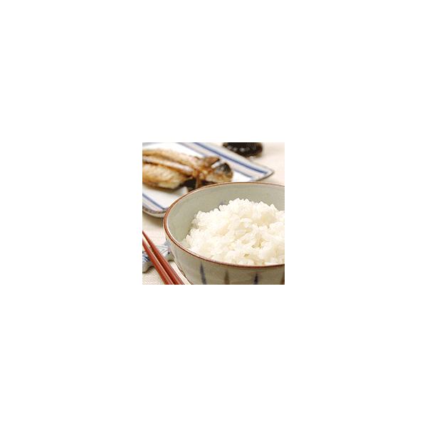 コシヒカリ 山形県産  精白米5kg 送料無料　令和7年産