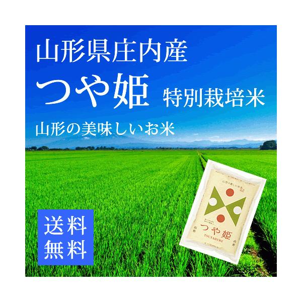 つや姫 白米２０ｋｇ 5kg×4 山形県庄内産 特別栽培米 令和7年産