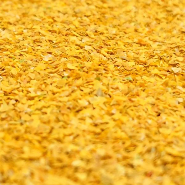 ǁ@t@FؑBUNKO@fށ@mXP[@G7