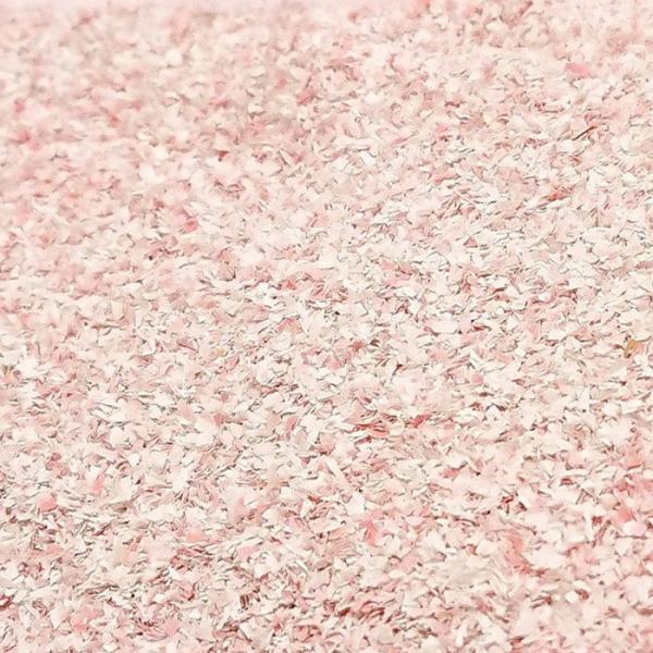 @Ԃт@FؑBUNKO@fށ@mXP[@SA07