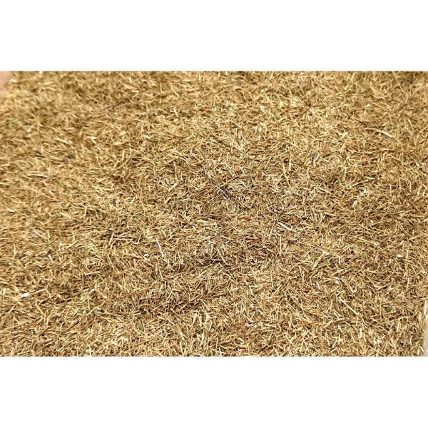 |с@t@FؑBUNKO@fށ@mXP[@T7