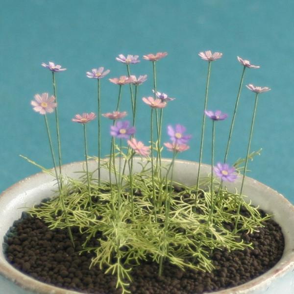 RXX@FaI@fށ@1/12@G-4