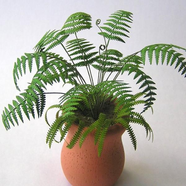 t@[ubV@FaI@fށ@1/12@G-8